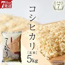≪ 令和7年度 ≫ コシヒカリ 玄米5kg（5kg×1袋）（茨城県共通返礼品 かすみがうら市産） 米 ごはん もっちり 甘い コメ お米 白米 銘柄米 [EX011sa]