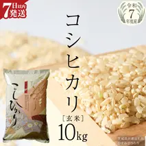 ≪ 令和7年度 新米 ≫ コシヒカリ 玄米10kg（10kg×1袋）（茨城県共通返礼品 かすみがうら市産） 新米 米 ごはん もっちり 甘い コメ お米 白米 銘柄米 [EX012sa]