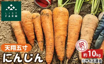 【 訳アリ 】 人参 約 10kg 9月 収穫 予定 リストファーム サイズ 混合 天翔五寸 にんじん 産地直送 野菜