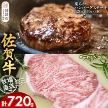 佐賀牛 サーロインステーキ200g×1枚計200g 柔らかハンバーグステーキ130g×4個計520g【佐賀牛 サーロイン ステーキ ハンバーグ 高級部位 赤身肉 霜降り】(H122129)