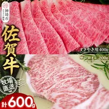 佐賀牛 サーロインステーキ200g×1枚計200g すきやき用400g 2種セット【佐賀牛 サーロイン ステーキ すき焼き 霜降り 赤身 脂身 高級部位】(H122135)