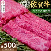 佐賀牛 すきやき用切落250g×2パック計500g【佐賀牛 すき焼き用 切り落とし 牧場直送 小分け】(H122140)