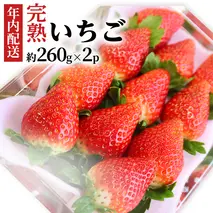 【12/17までの申込で年内にお届け！】 完熟いちご 約260g×2パック 品種おまかせ 年内お届け 国産 いちご イチゴ 苺 [BC089sa]