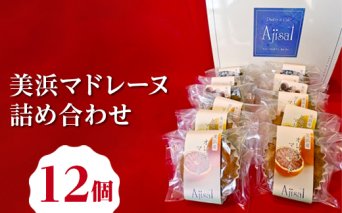 美浜マドレーヌ詰め合わせ　12個 （6種×2個） ｜ マドレーヌ 焼き菓子 洋菓子 おやつ お菓子 おかし スイーツ おすすめ 人気 詰め合わせ セット 贈り物 プレゼント ギフト 愛知県 美浜町