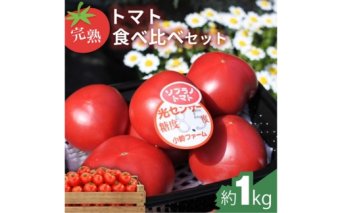 完熟トマト食べ比べセット約1kg 3種類のトマト 美味しさ選別 ｜とまと トマト 減農薬 野菜 やさい 人気 新鮮 産地直送 直売 フルーツトマト 甘い 高糖度 完熟 リコピン ビタミン ダイエット 美容 美肌 愛知県 美浜町 ※2026年1月上旬～5月下旬頃に順次発送