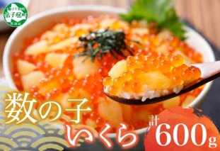 2979. 数の子 いくら 醤油漬け 100g× 6パック 計600g イクラ 醤油漬け さけ いくら 鮭 しょうゆづけ 魚卵 海鮮 人気 海鮮丼 寿司 おかず つまみ おつまみ ごはんのおとも 贅沢 グルメ 送料無料 北海道 弟子屈町
