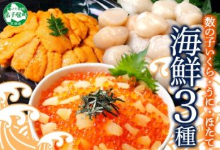 3431. 数の子いくら 醤油漬け 200g うに 200g ホタテ 300g 数の子 海鮮 3種セットいくら イクラ 雲丹 ウニ ほたて 帆立 貝柱 玉冷 貝 鮭いくら 冷凍 魚卵  海鮮丼 醤油漬け 手巻き寿司 つまみ おつまみ おかず ごはんのおとも 人気 グルメ 贅沢 豪華 ギフト 北海道 弟子屈町