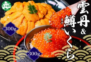 3408. 雲丹 計300g 鱒いくら 醤油漬け 計300g 海鮮 2種セット うに ウニ チリ産 ミョウバン不使用 冷凍 鱒 ます マスいくら イクラ いくら醤油 魚卵 海鮮丼 手巻き寿司 寿司 すし つまみ おつまみ おかず ごはんのおとも 人気 グルメ お取り寄せ 送料無料 北海道 弟子屈町