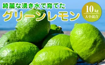 EA6114_綺麗な湧き水で育てたグリーンレモン 10kg (大小混合)60個～120個