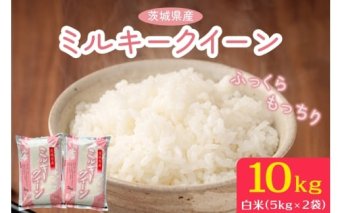【令和7年産】ふっくらもっちり 茨城県産 ミルキークイーン 白米 10kg (5kg×2袋)｜お米 おこめ 精米 直送 稲敷 茨城 [1891]