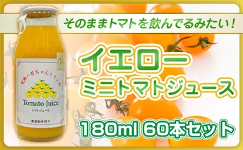 【高級旅館でも使用！】イエローミニトマトのトマトジュース 180ml 60本セット｜国産 姫路産 八百ちゃんトマト 100%ストレート