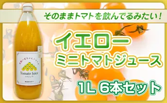 【高級旅館でも使用！】イエローミニトマトのトマトジュース 1L 6本セット｜国産 姫路産 八百ちゃんトマト 100%ストレート
