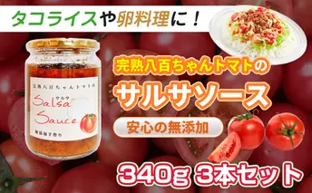 【タコライスや卵料理に！】サルサソース 340g 3本セット｜国産 姫路産 八百ちゃんトマト 着色料・保存料不使用