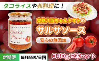 【定期便・全6回】サルサソース 340g 2本セット ×6回｜国産 姫路産 八百ちゃんトマト 着色料・保存料不使用