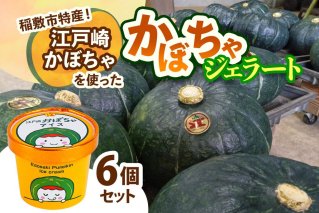 江戸崎かぼちゃを使った「かぼちゃジェラート」6個セット｜稲敷市特産 特産 江戸崎かぼちゃ ジェラート かぼちゃスイーツ 濃厚アイス かぼちゃ ひんやりデザート ギフト [1663]