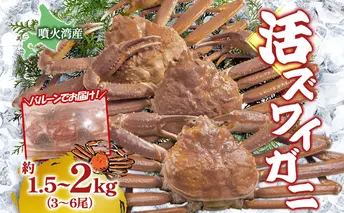 北海道 噴火湾産 活ズワイガニ 約1.5～2kg（3～6尾）2026年3月1日～4月末頃まで発送 北海道産 旬 新鮮 ずわいがに ズワイガニ かに カニ 蟹 カニ味噌 天然 噴火湾 産地直送 お取り寄せ 贈答 冷蔵 洞爺湖町
