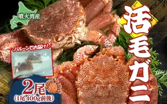先行受付 北海道 噴火湾産 活毛がに 400g前後×2尾 2026年6月下旬~7月上旬お届け 北海道産 旬 新鮮 毛がに かに カニ 蟹 毛ガニ 毛蟹 カニ味噌 天然 噴火湾 産地直送 お取り寄せ 贈答 冷蔵 洞爺湖町