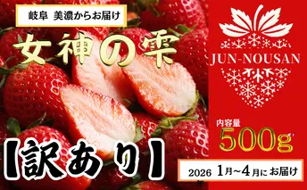 【訳あり】「今までで1番うまい」とグルメ家がうなったイチゴ【女神の雫】 2026年1月 2月 3月 4月 450g 岐阜県 美濃市 じゅん農産 訳アリ 苺