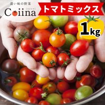 [2025年12月下旬より発送] Coiinaトマトミックス 厳選！詰め合わせセット 1kg｜コイイナ コイーナ 濃い味 ブランドトマト リコピン アイメック栽培 甘い 旨い 食感が良い [0670]