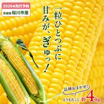 【2026年先行予約】桜川市産 とうもろこし 品種おまかせ 約4kg おおもの ゴールドラッシュ おひさまコーン  [FJ001sa]