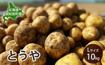 北海道 倶知安 産 じゃがいも とうや L サイズ 10kg 馬鈴薯 いも 芋 グリーンアースファーム 農家 直送 野菜 産地直送