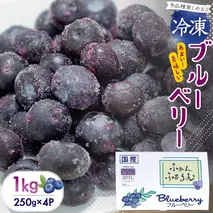 【2025年7月中旬から発送開始】 茨城県産 冷凍 ブルーベリー 合計 1kg (250g×4袋) 多品種 果実 果物 くだもの フルーツ おやつ ブルーベリー ベリー ジャム 小分け [DZ018sa]