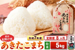 《定期便8ヶ月》令和7年産 【白米】家計お助け米 あきたこまち 5kg|10533
