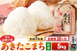 《定期便10ヶ月》令和7年産 【白米】家計お助け米 あきたこまち 5kg|10535