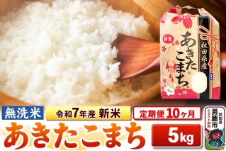 《定期便10ヶ月》令和7年産 新米 【無洗米】 あきたこまち 5kg|10583