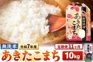 定期便3ヶ月》令和7年産 【無洗米】 あきたこまち 5kg [こまちライン