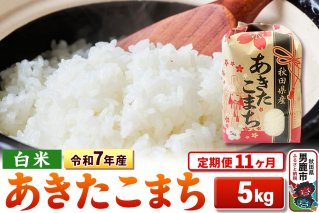 《定期便11ヶ月》令和7年産 【白米】秋田県産 あきたこまち 5kg|10632
