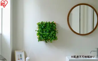 ＤＥＣＯ ＧＲＥＥＮ ウォールパネル WG-50M ナチュラルミックス 3個セット フェイクグリーン 壁掛け  アイリスオーヤマ ウォールグリーン 25×25cm 正方形 インテリア おしゃれ 壁面緑化パネル 人工観葉植物