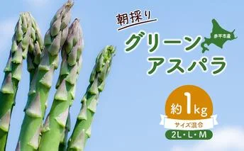 アスパラ 北海道 朝採り 春グリーンアスパラ 約1kg 2L L M サイズ混合［ほりぐち農園］ ※2026年4月中旬出荷開始先行予約 野菜 アスパラガス グリーンアスパラ 旬 とれたて お取り寄せ 産地直送 生産者直送  