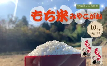 令和7年産 宮城県大河原町産 みやこがね 10kg ( 5kg × 2袋 ) もち米 餅米  こめ コメ モチ もち もち米 お餅 餅 令和7年 宮城県産