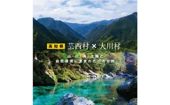 ZZ112-NT　【芸西村と大川村の共通返礼品】芸西村 海鮮丼の素セット【個別発送】＆大川村 土佐はちきん地鶏まるごと一羽セット