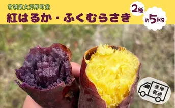 さつまいも 約5kg 2種詰合せ 紅はるか ふくむらさき サツマイモ 宮城県産 甘い 秋 冬 スイーツ 産地直送 宮城県 大河原町
