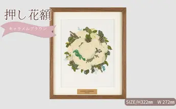 想い出が宿る押し花額サイズS【キャラメルブラウン】 押し花 額装 プロポーズ 誕生日 結婚記念日 卒業式 開業祝い 退職祝い 母の日 父の日 お祝い ギフト プレゼント 愛知県 日進市