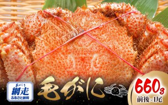 網走産 毛がに660g前後×1尾 ABW106