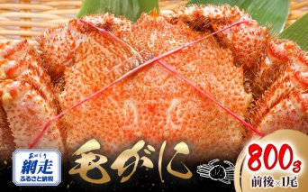 網走産 毛がに800g前後×1尾 ABW108