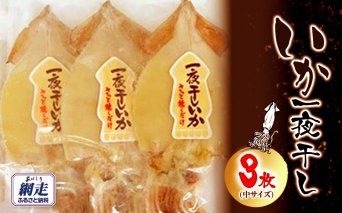 いか一夜干し 3枚 中サイズ ABW112