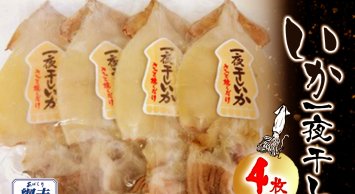 いか一夜干し 4枚 中サイズ ABW113