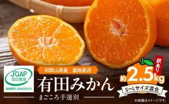 ZE6480_有田みかん 約2.5kg 【家庭用】 (S～Lサイズ混合)【まごころ手選別】