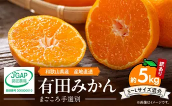 ZE6423_有田みかん 約5kg【家庭用】(S～Lサイズ)【まごころ手選別】