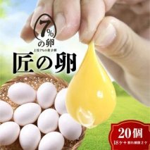 【定期便6ヶ月】匠の卵 20個(割れ玉補償２個）7％の卵｜たまご　卵　玉子　鶏卵　生卵　プレミアム　優秀賞　愛知県　美浜町　国産　産直　卵黄　卵かけご飯