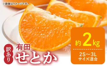 DZ6230_【2026年先行予約】ご家庭用 せとか 和歌山 有田 2S～3Lサイズ 大きさお任せ 約2kg