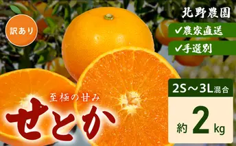 DZ6230_【2026年先行予約】ご家庭用 せとか 和歌山 有田 2S～3Lサイズ 大きさお任せ 約2kg