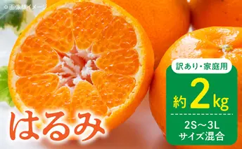 DZ6219_【2026年先行予約】訳あり 家庭用 はるみ 和歌山 有田 2S～3Lサイズ混合 約2kg