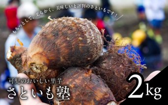 可児のおいしい里芋『さといも塾』2kg さといも 里芋 土垂れ いも 秋 旬 グルメ 煮物 【0011-002】