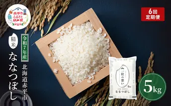 定期便6回 連続 お届け 令和7年産 北海道 赤平産 ななつぼし 5kg 白米 精米 米 北海道 ごはん ご飯 ライス おにぎり 定期便 定期 お楽しみ 6回