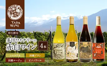 【野生酵母】かみふらの 多田ワイナリー 赤白ワイン 計4本 ワイン 赤ワイン 白ワイン 飲み比べ セット ぶどう 葡萄 ワイナリー 酒 北海道 上富良野町